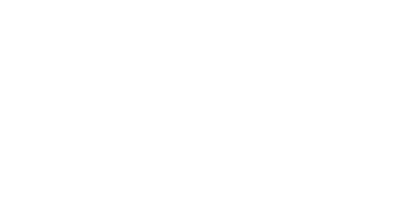 DiscoFish partner logo