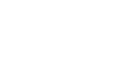 Vario partner logo